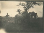 Man with plough and horses